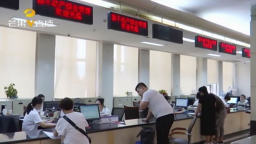 常德公開中介服務(wù)機(jī)構(gòu)名單 助市民辦事查詢更便捷